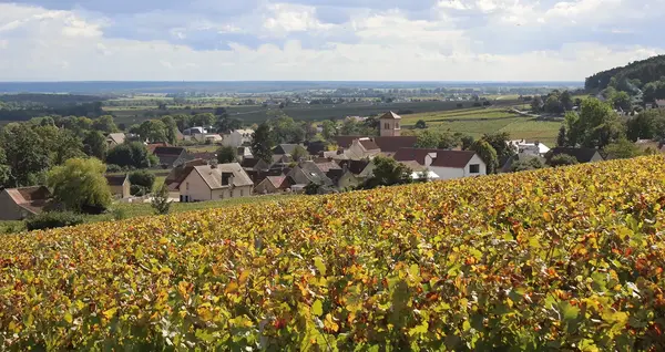 Quel paysagiste choisir a Gevrey Chambertin 0