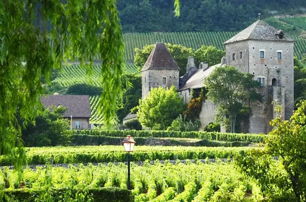 Quel paysagiste choisir a Gevrey Chambertin 1