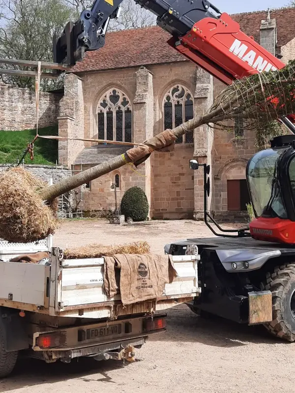 Rehabilitation paysagere de ruines V2 G Paysages Bourgogne 8