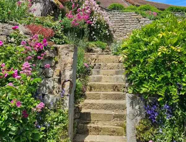 Rehabilitation vegetal ruines V2 G Paysages Bourgogne 6