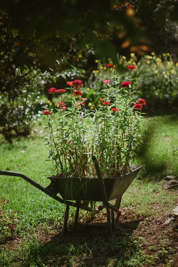 Tarif entretien jardin a l annee 1