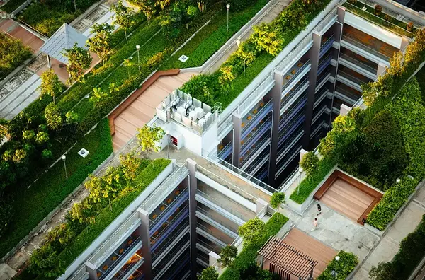 Toiture vegetalise Bourgogne V2 G Paysages 1