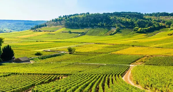 Zone intrevention Bourgogne V2 G Paysages 0