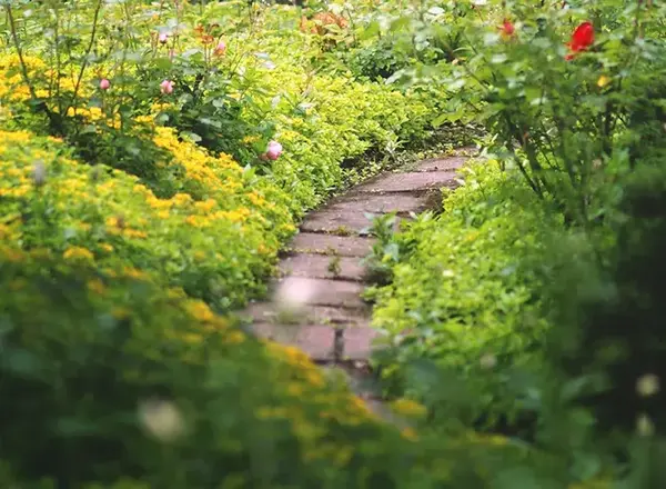 Secteurs intervention particulier