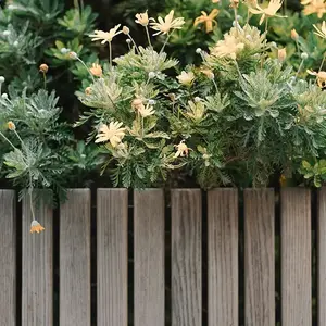 Cloture Jardin Dijon Bourgogne 0