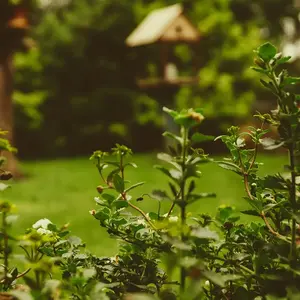 Comment amenager un jardin de 100m² 0