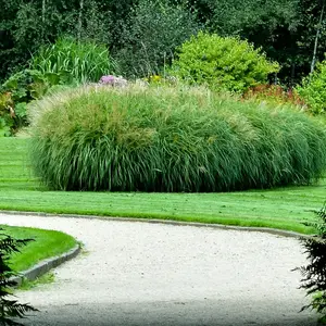 Conception paysagere V2 G Espaces Bourgogne 0