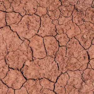 Drainage terrain argileux 0