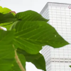 Entreprise Jardin V2 G Paysages Bourgogne 0