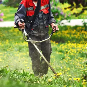 Entretien Jardin Dijon V2 G Paysages Bourgogne 0