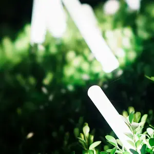 Éclairage exterieur Jardin V2 G Paysagiste 0