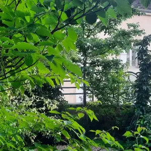 Jardin particulier V2 G Paysages Bourgogne 00