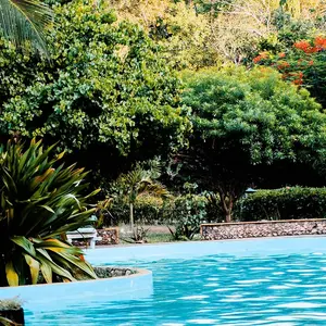 Jardin piscine V2 G Paysages 0