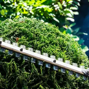 Jardinier Particulier Dijon V2 G Paysages 0