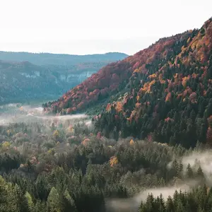 Paysagiste Jura V2 G Paysages 0