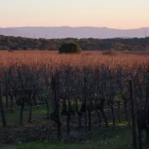 Professionnels V2 G Paysages Bourgogne 0