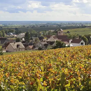 Quel paysagiste choisir a Gevrey Chambertin 0