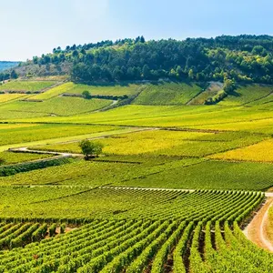 Zone intrevention Bourgogne V2 G Paysages 0