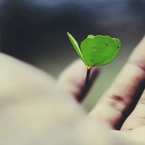 Accompagnement V2 G Paysages Bourgogne 0