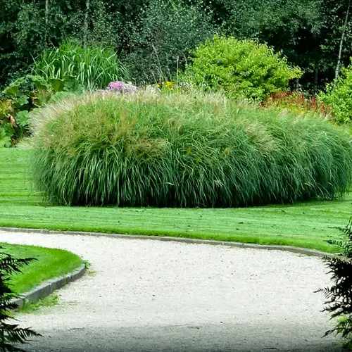 Conception paysagere V2 G Espaces Bourgogne 0