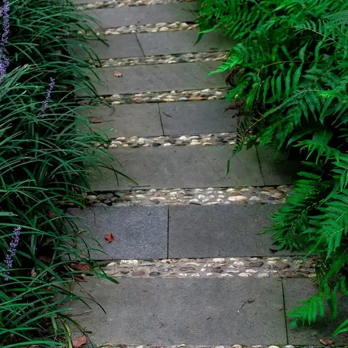 Creation allee Jardin V2 G paysagiste 0