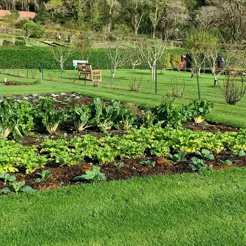 Creer un potager 0