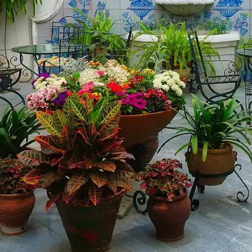Dalle jardin V2 G Paysages 0