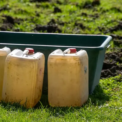 Entretien d un jardin sans pesticides 0