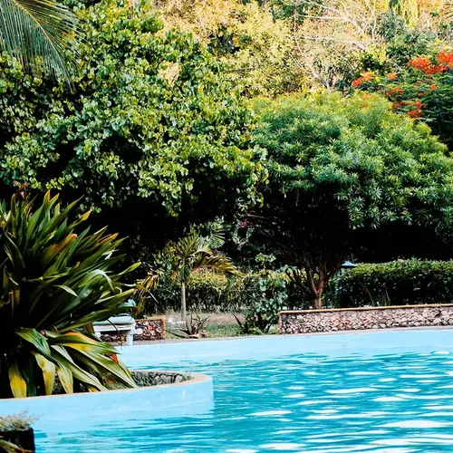 Jardin piscine V2 G Paysages 0