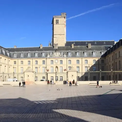 Jardinier a domicile Dijon 0