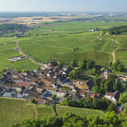 Paysagiste Gevrey Chambertin 0