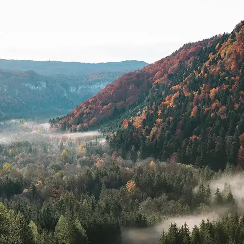 Paysagiste Jura V2 G Paysages 0