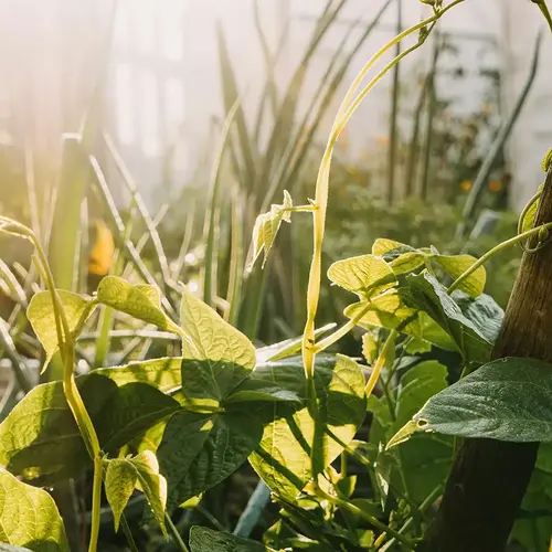 Permaculture Bourgogne 0
