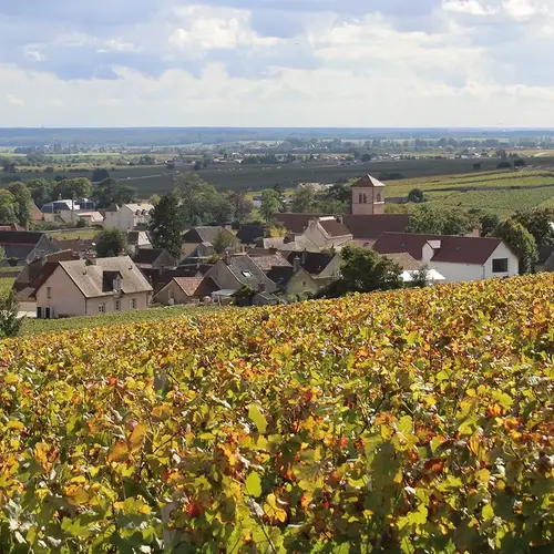 Quel paysagiste choisir a Gevrey Chambertin 0