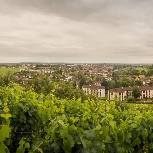Quel paysagiste choisir a Nuits Saint Georges 0